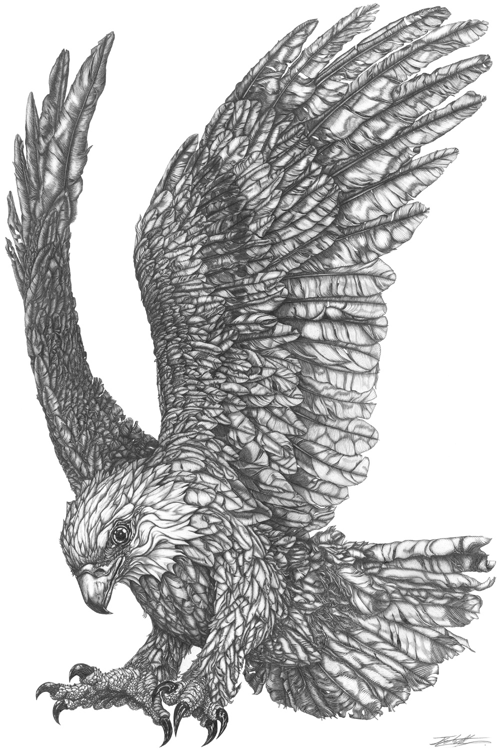 eagle